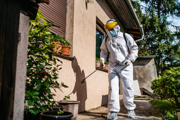 Best Bed Bug Extermination  in Bushyhead, OK
