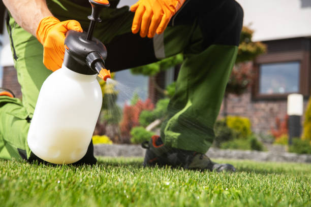 Trusted Bushyhead, OK Pest Control Experts