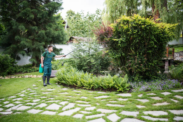 Best Commercial Pest Control Services  in Bushyhead, OK