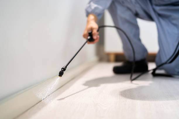 Pest Control for Restaurants in Bushyhead, OK
