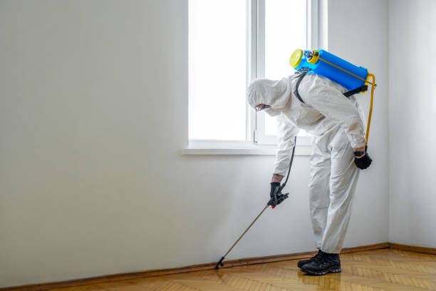 Best Local Pest Control Services  in Bushyhead, OK