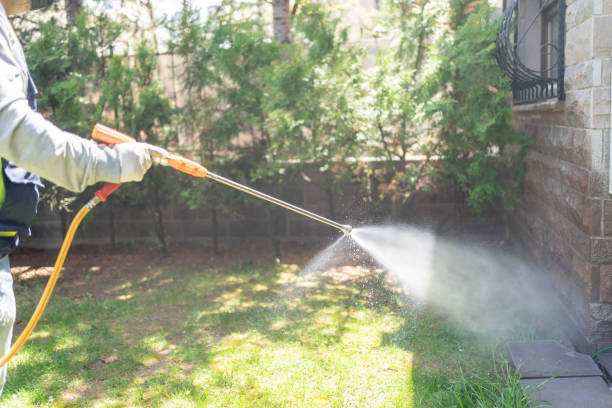 Best Cockroach Control Services  in Bushyhead, OK