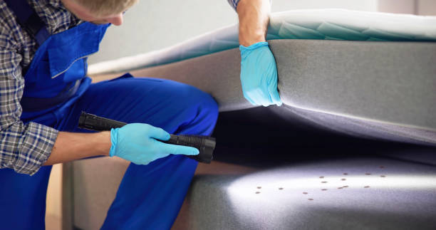 Best Pest Control Treatment  in Bushyhead, OK