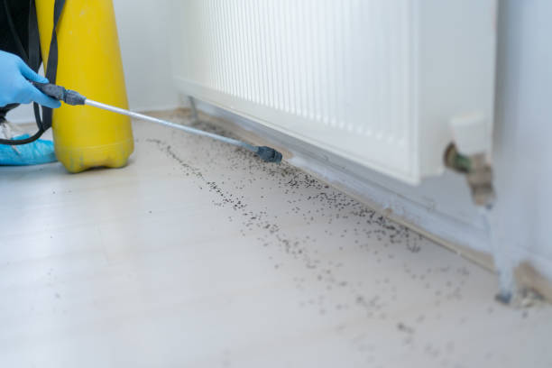 Best Pest Control Near Me in Bushyhead, OK