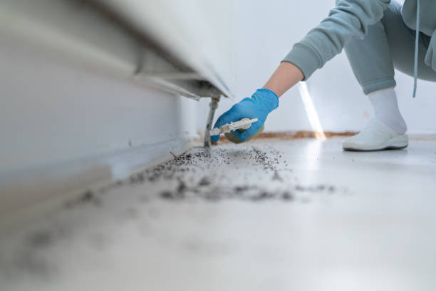 Best Best Pest Control Companies  in Bushyhead, OK